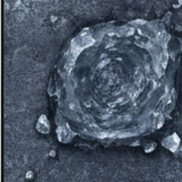 Neutronite ore